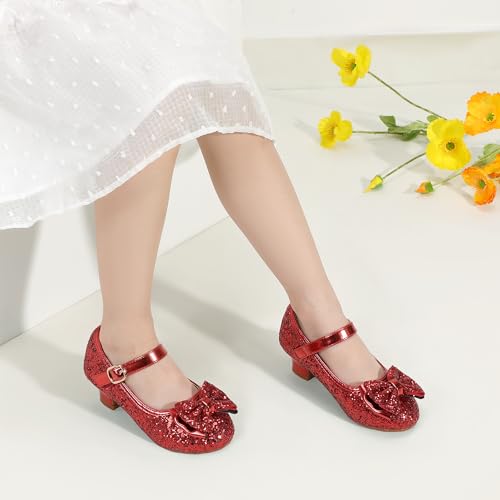 Image of PANDNAINJIA Girls Dress Shoes Toddler Heels Mary Jane Pumps
