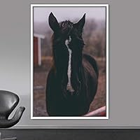 Framed Canvas Wall Art Horse Animals Dramatic Farmhouse/Country Horse Living Room Multicolor Photography - 16x24 inches
