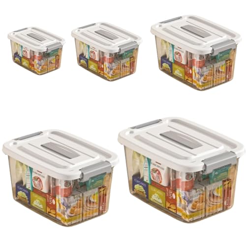 Image of Ash & Roh Heavy Duty Plastic Storage Bins with Locking Lids - Clear, Stackable Containers for Bedroom or Closet Organization (Combo, combo)