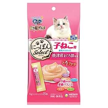 ☆お正月猫ちゃんチャーム☆③ キーホルダー 猫ちゃん（キャット）チャーム | 長崎尾曲がり猫神社