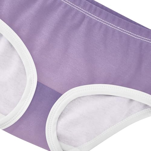 Joisal Cotton Toddlers Underwear Floral Violet Lilac Gradient Ombre Panties Little Girl Fancy Briefs Undies Kids 2t4