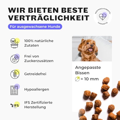 HEY HOLY Premium Trockenfutter für Minis 100% getreidefrei | 7kg Hundefutter für ausgewachsene Minis mit Forelle | Hochverträglich aus natürlichen Zutaten