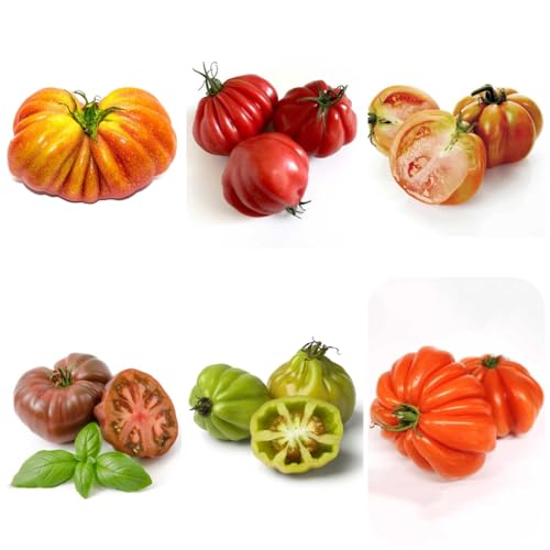 semillas de tomate corazón de buey, s resistentes para jardín semillas tomate carne, balcón invernadero variedades antiguas exterior resistentes 300pcs