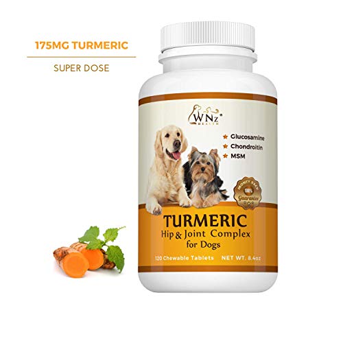 Turmeric Hip & Joint Complex for Dogs with Glucosamine Chondroitin MSM - Best