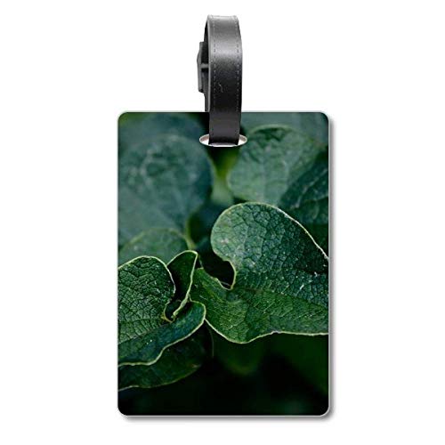 Étiquette de valise motif feuille sombre pour bagages de voyage