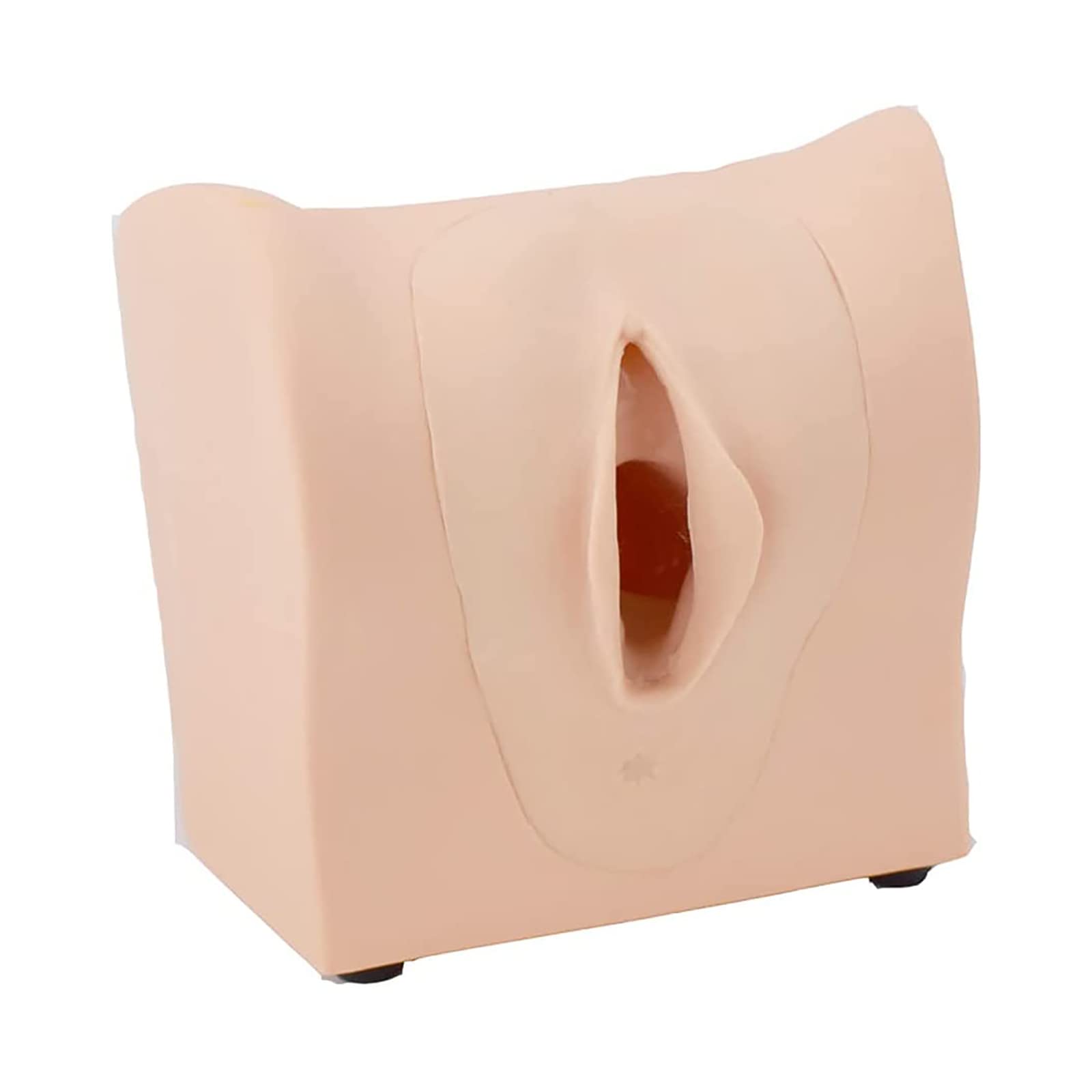 Modello di Guida alla contraccezione Femminile 1:1 Modello didattico per la contraccezione Manichino in PVC Modello didattico per la ginecologia Aiuto alla Formazione educati