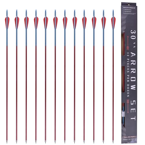 MOYJ Mixed Carbon Arrow Archery Practice Shooting 3 inch Plastic Vanes Fletching Removable Replaceable Broadhead Tips Arrows12pcs Hunting Arrows I.D.6.2MM O.D.7.8mm Arrows for Bow