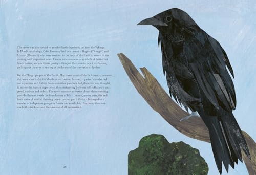 Image of Bird Lore: The Myths, Folklore and Meaning of Birds