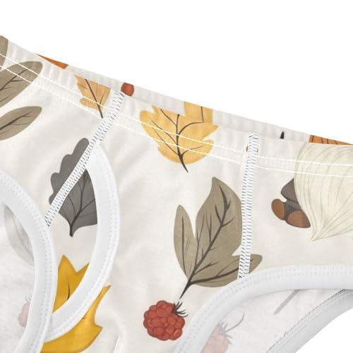 KLL Autumn Gnomes Yellow Leaves Berries Vintage Boys Toddler Comfort Briefs Underwear Cute Undies4