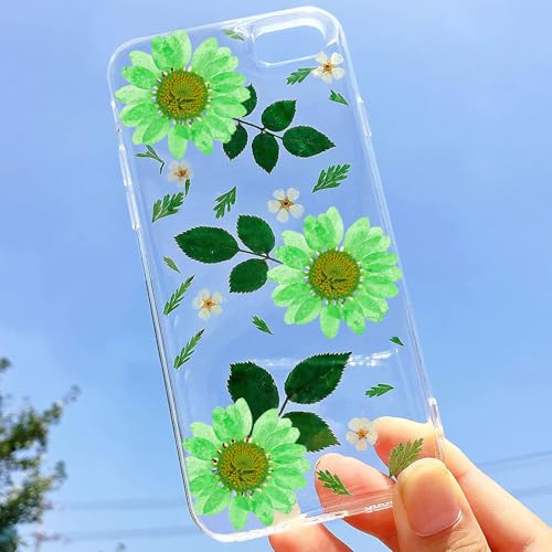 Flores naturales secas prensadas para manualidades 60 piezas miniatura 7