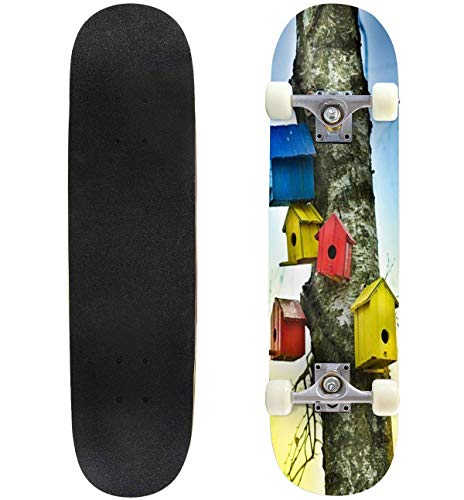 Bird Houses Colorful animalss and Pictures Outdoor Skateboard 31"x8" Pro Complete Skate Board