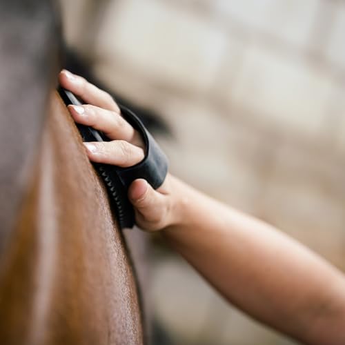 Equisept Fliegenspray & Bremsenspray für Pferde 500ml - Mückenspray, Insektenspray - Von Tierärzten empfohlen - Dopingfrei