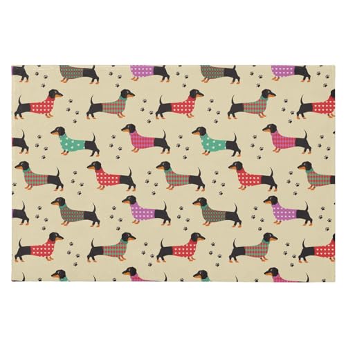 SAMAU  փ}bg   Օ _bNXth ӂӂ hA}bg DƂ ~ O Ɩp ItBXp ƒp 唻 60*90CM