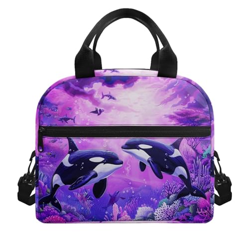 CLOHOMIN Cute Dolphin Lunch Box for Kids 8-12 School Lunch Boxes for Teen Girls Elementary Middle School Bento Box with Adjustable Strap Front Pockets Students Gifts