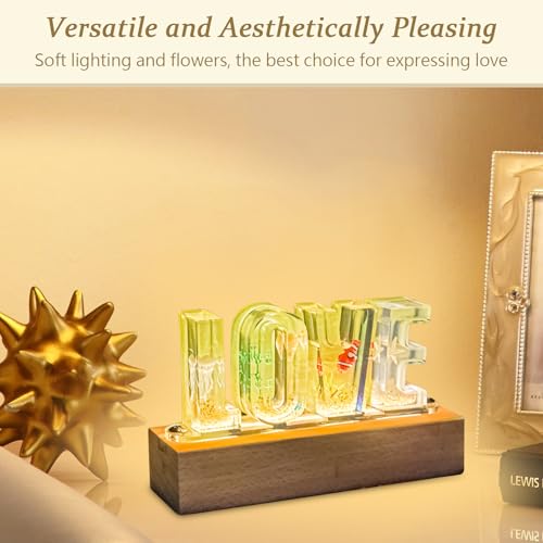 Image of Floral Letter LED Night Light: Resin Dried FlowerLetters Lamp with USB - Handmade Pressed Flower Nightlight Unique Customized Gift for Home Decoration (Light Green, 1)