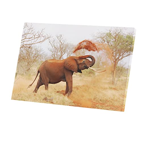 Poster toilette éléphant savane décoration murale 60x40