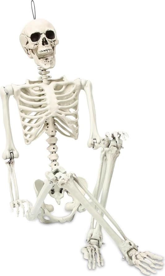5.4 ft Posable Halloween Skeleton Decorations - image 1