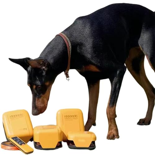 Zestaw sprzętu do treningu agility dla psów, interaktywny tor przeszkód dla psów, gry i ćwiczenia na świeżym powietrzu, które zapewnią Twojemu pupilowi zdrowie i aktywność