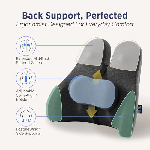 image for Align Labs Lumbar Support Pillow for Office Chair - Lower Back Pain Re