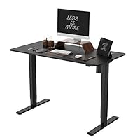 FLEXISPOT EG1 Height Adjustable Electric Standing Desk with Desktop,2-Stage Desk with Single Motor Heavy Duty Steel Stand up Desk for Home Office (100 * 60cm, Black Frame+Black Top)