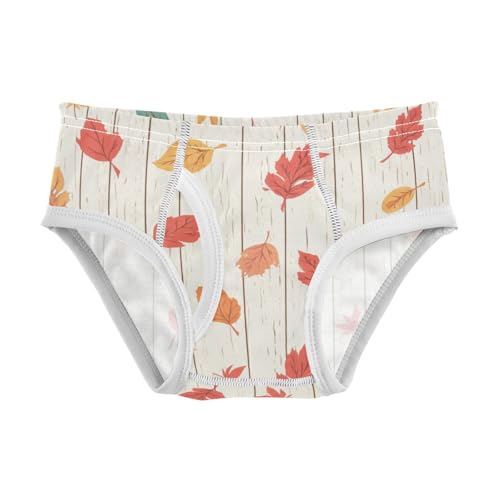 KLL Autumn Leaf on Old White Wooden Toddler Boys' Pure Cotton Underwear Breathable Children Undies