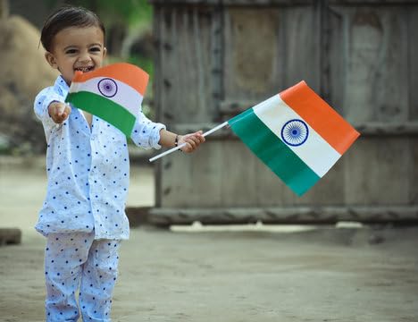 PlantaZee Small Size India Hand Waving Flag/Indian Tiranga Trilcolor Flags with Stick for Independence Day Republic Day Celebration (Pack of 10) (B0DC6Z7SLL) Amazon Price History, Amazon Price Tracker