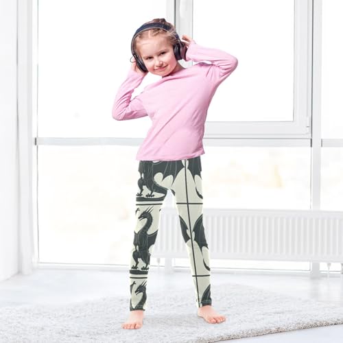Girls Leggings Legend Dragon Toddler Girls Clothes Leggings for Girls Toddler Girls Leggings 3-4T4