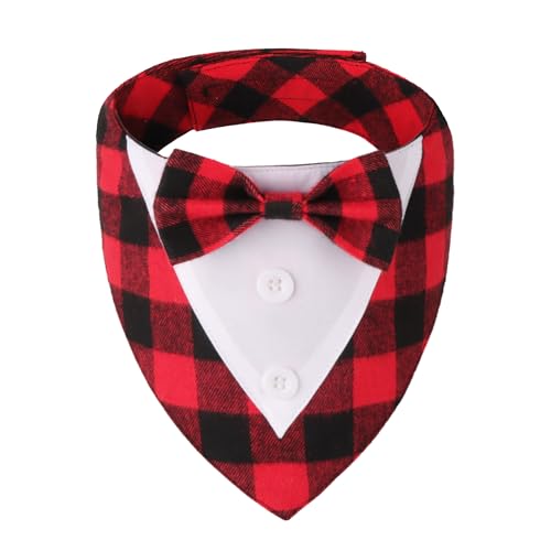 ADOGGYGO NX}X hbO ^LV[h o_iAbh `FbN NX}X ybg {E^C݁A^p߉\ȃNX}XRX`[ (S)