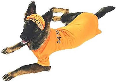 Midlee Orange Halloween Costume (XXX-Large)