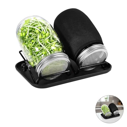 Kit de germination durable en verre Mason et acier inoxydable de qualité - 6
