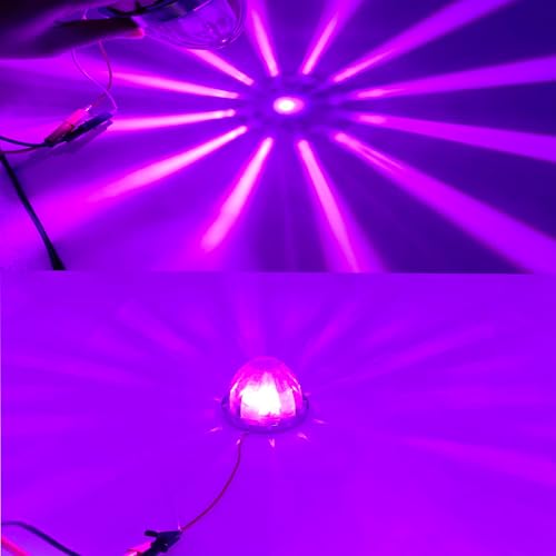 Image of 4PCS Purple Watermelon Lights, Clear Lens LED Side Marker Turn Signal Lights, Watermelon-Shaped Side Marker Tail Top Cap Roof Lights for Trailer Truck Semi-Trailer Heavy-Duty Truck Bus Van