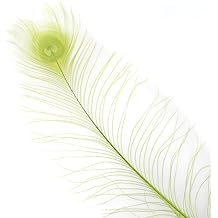 Zucker Feather Place Peacock Eyes Bleached/Dyed - Lime