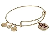 Alex and Ani Collaborations Harry Potter Gryffindor House Charm Bangle, Bangle Bracelet, Shiny Gold Finish, 2 to 3.5in