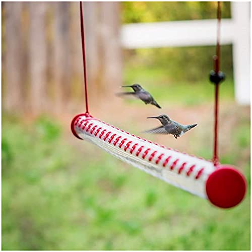 Mangeoire à colibris tube transparent de 40cm pour oiseaux - 2
