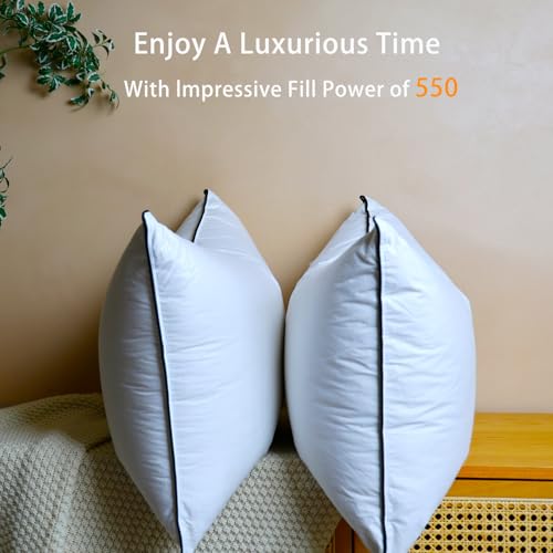 Hyvif Premium White Goose Down Pillows - 550+ Fill Power - Soft And Support Down Bed Pillow For Sleeping thumb #4