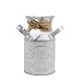 keleiesXD Florero de Metal Shabby Chic Vintage Farmhouse Jug Jarrón Jarra Jarrón rústico de Metal galvanizado para Sala de Estar Maceta de Flores Personalizada Tienda de Damas Adorno Pastoral
