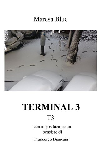 TERMINAL 3 TERMINAL 3