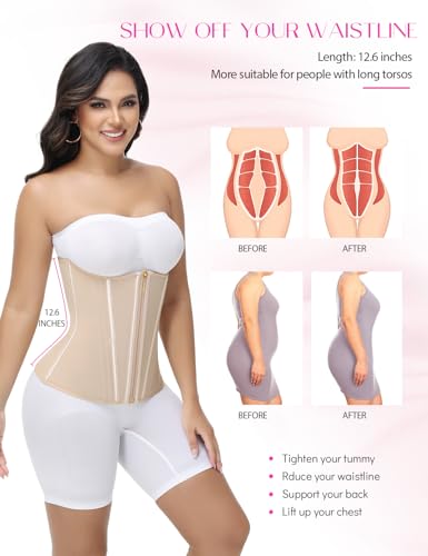 Image of SHAPSHE Waist Trainer for Women Tummy Control Workout Waist Cincher Corset Shapewear Postpartum Body Shaper with Zipper Hook