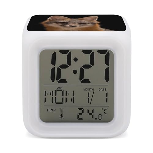 Fox in Dark - Reloj despertador digital para dormitorio, pantalla LED, alarmas de noche