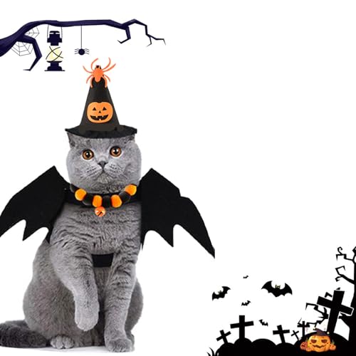 Disfraz Halloween para gato, set con accesorios miniatura 2