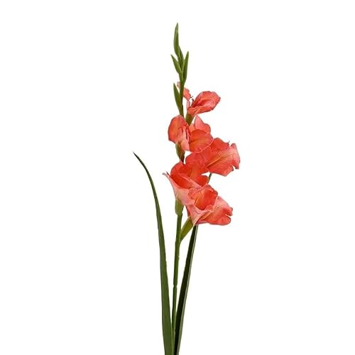 HUFFA Simulated Single-Stem Large Gladiolus 85cm - Elegant Artificial Flower for Home Decoration(Red)