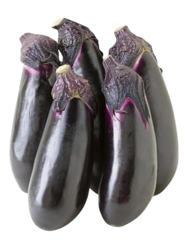 ys꒼szmق Ȃi5{܁j350`400g x2Zbgy①z