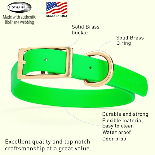 Image of Viper Biothane Heavy Duty Waterproof Dog Collar Strong Coated Nylon Webbing w /Solid Brass Hardware Odor-Proof Easy to Clean High Performance Fits Small Medium or Large Dogs, Tropical Green