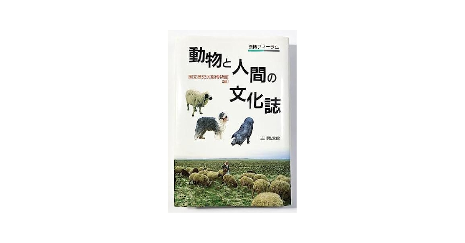 人間と動物 sddefault.jpg