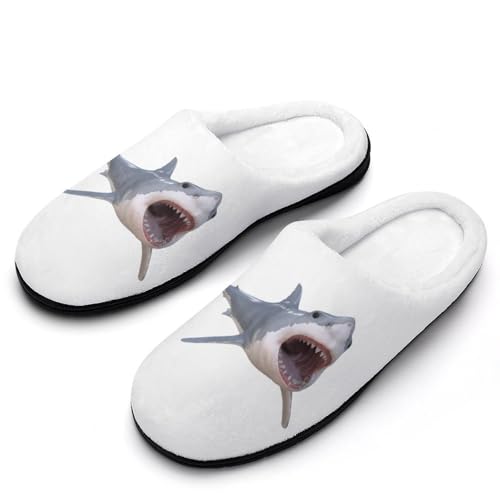 [BFLCWM] Xbp  T Shark RbgXbp [V[Y  fB[X ~ 􂦂  p qp