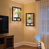 BAOYOUNI 2 Pack Picture Frame Wall Plant Holder with Light,Metal Window Plant Shelf，Modern Floating Plant Stand for Indoor Outdoor Patio Balcony Garden Living Room Bedroom