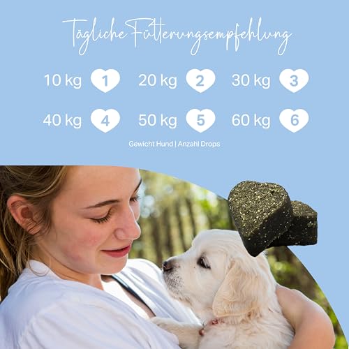 MEDIDOG Welpenstärker – 400g – 13in1 für Welpen und Junge Hunde – für die Wachstumsphase, mit Bierhefe, Calcium, Kollagen, Spirulina, Chlorella, Algenöl UVM.- kaltgepresst & getreidefreie Rezeptur