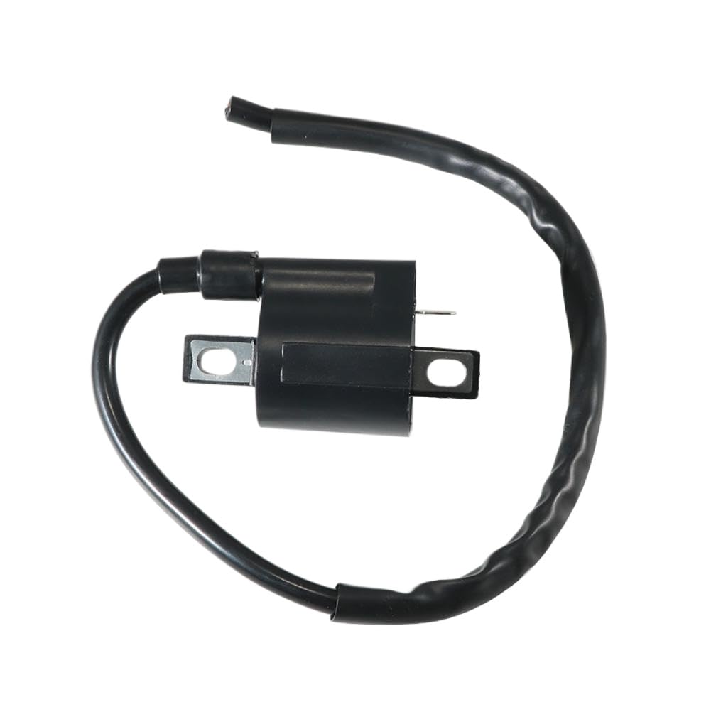 Bobine d'allumage Compatible With Suzuki LT-F160 LT160 LTF250