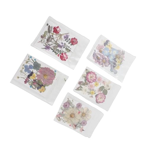 Flores prensadas surtidas para manualidades DIY, 100 piezas miniatura 7