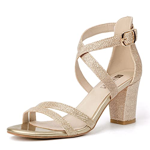 IDIFU Women's IN3 Gita Block Heel Open Toe Strappy Sandals Dress Shoes for Wedding Evening Prom...